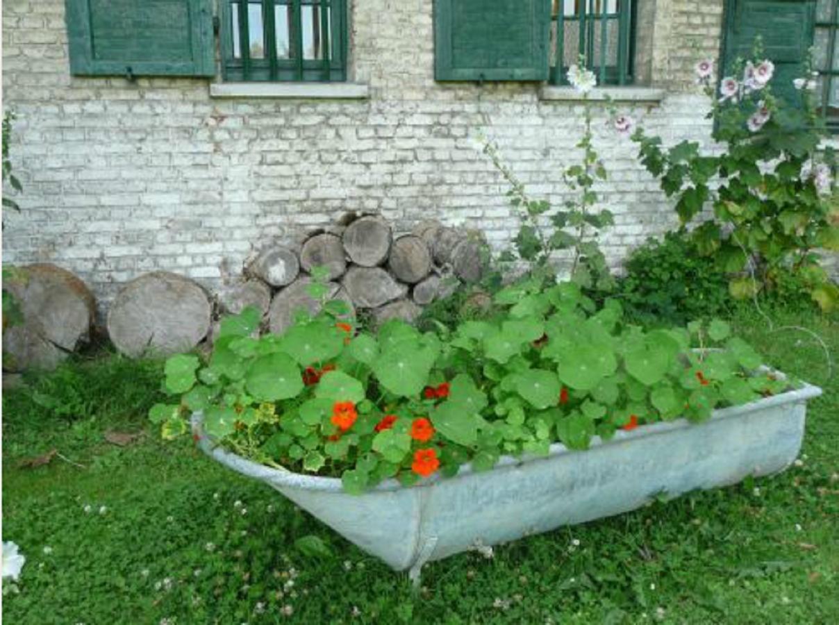 Manoir De Bois En Ardres Panzió Kültér fotó